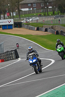 Lower Group Blue Bikes
